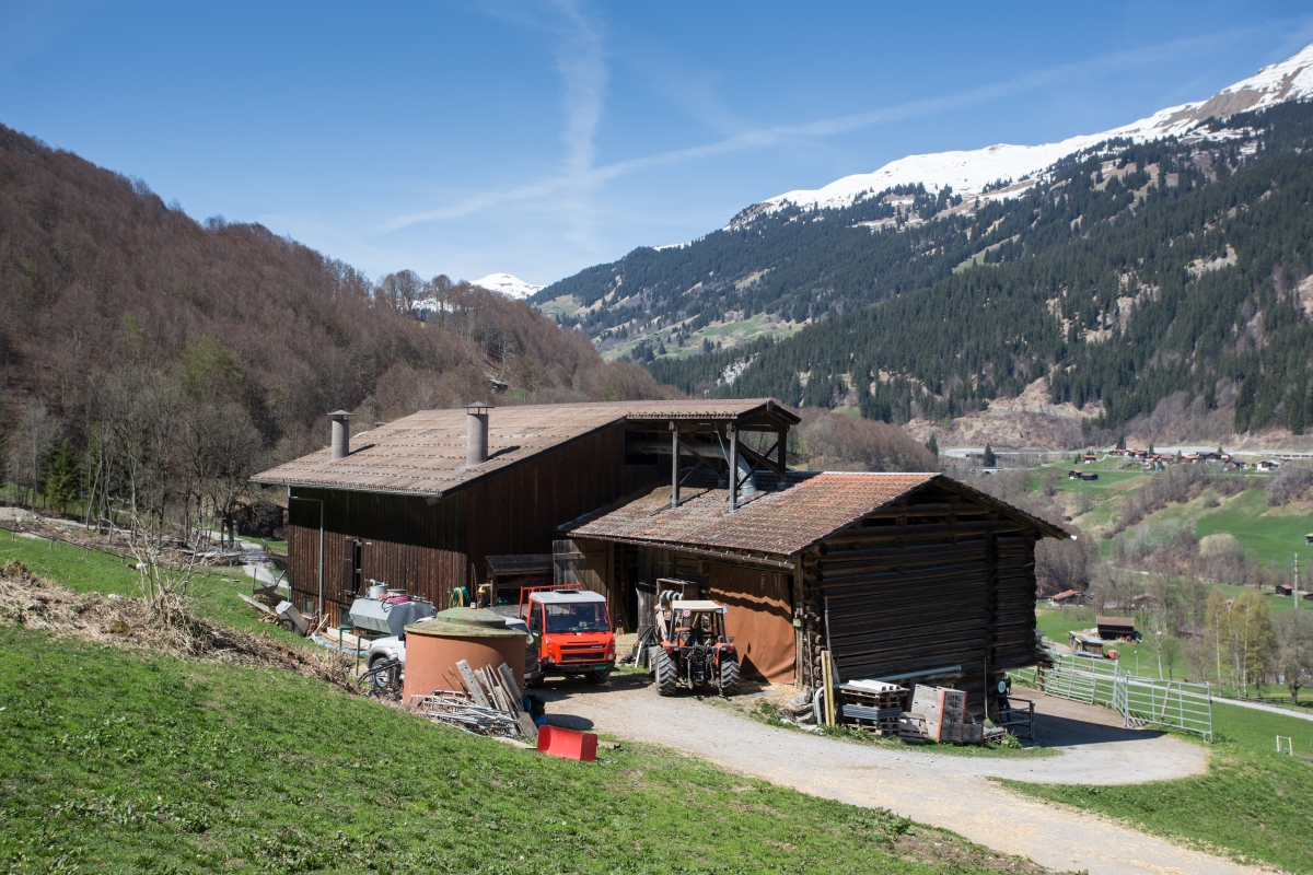 Padratscha-Hof Serneus