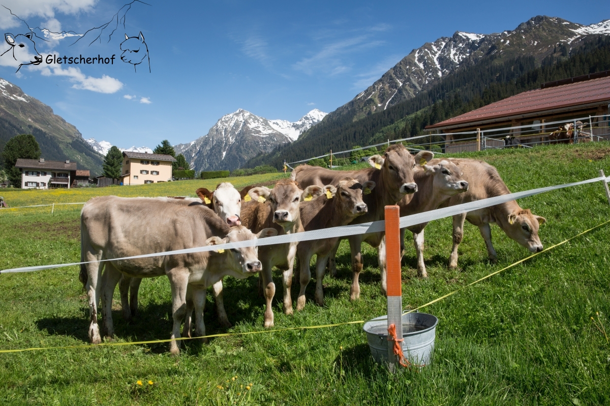 Gletscherhof