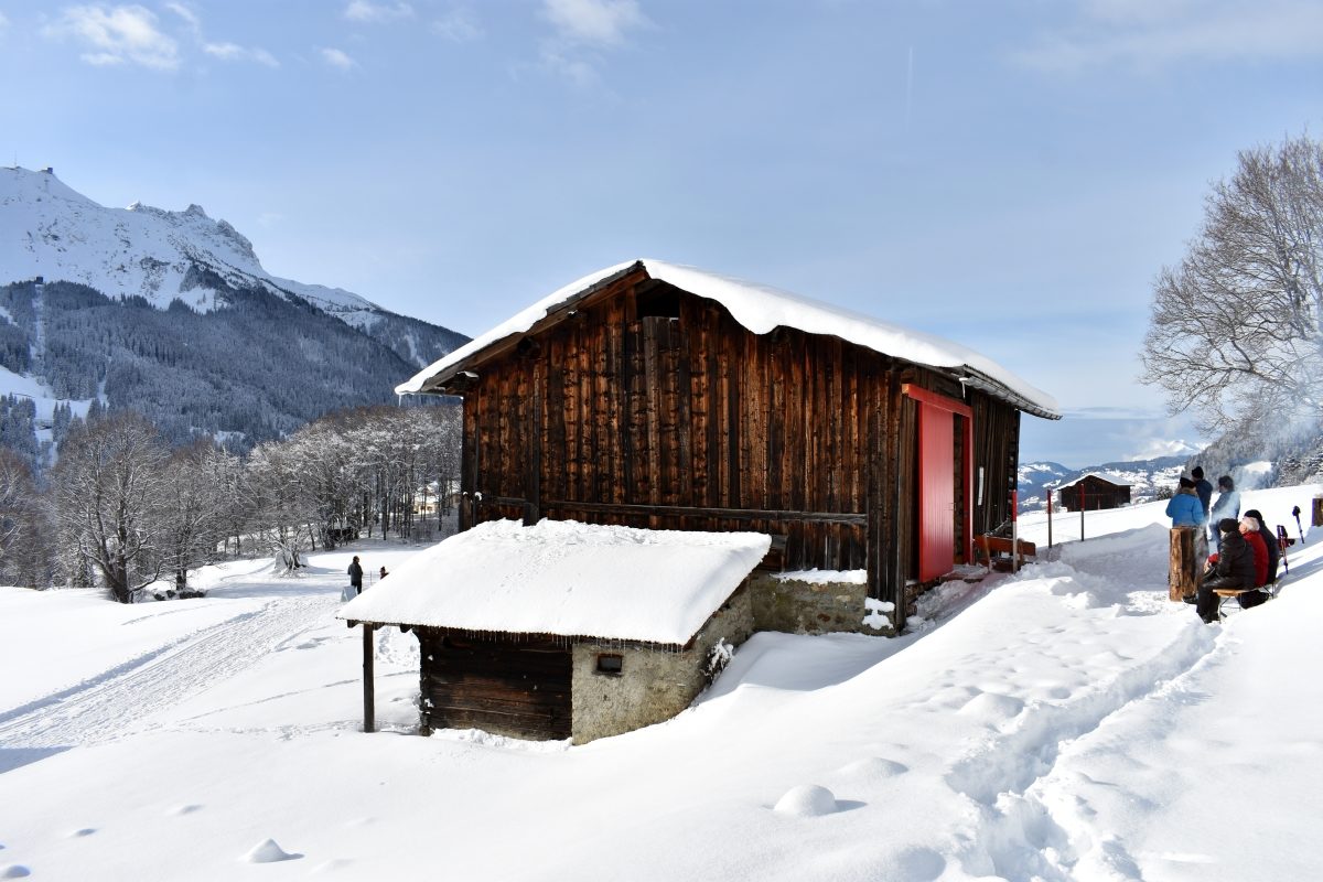 Kunstausstellung Sonja Knapp