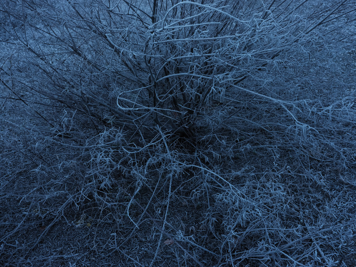 Vernissage Ausstellung Lothar Schmid