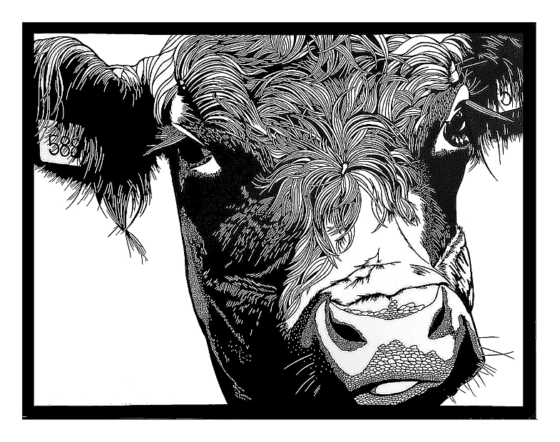 Bilder-Ausstellung von Monika Flütsch-Gloor